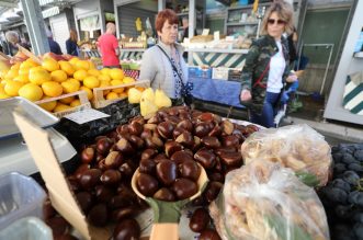 Rijeka: Prvi ovogodišnji maruni stigli su na tržnicu