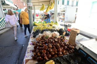 Rijeka: Prvi ovogodišnji maruni stigli su na tržnicu