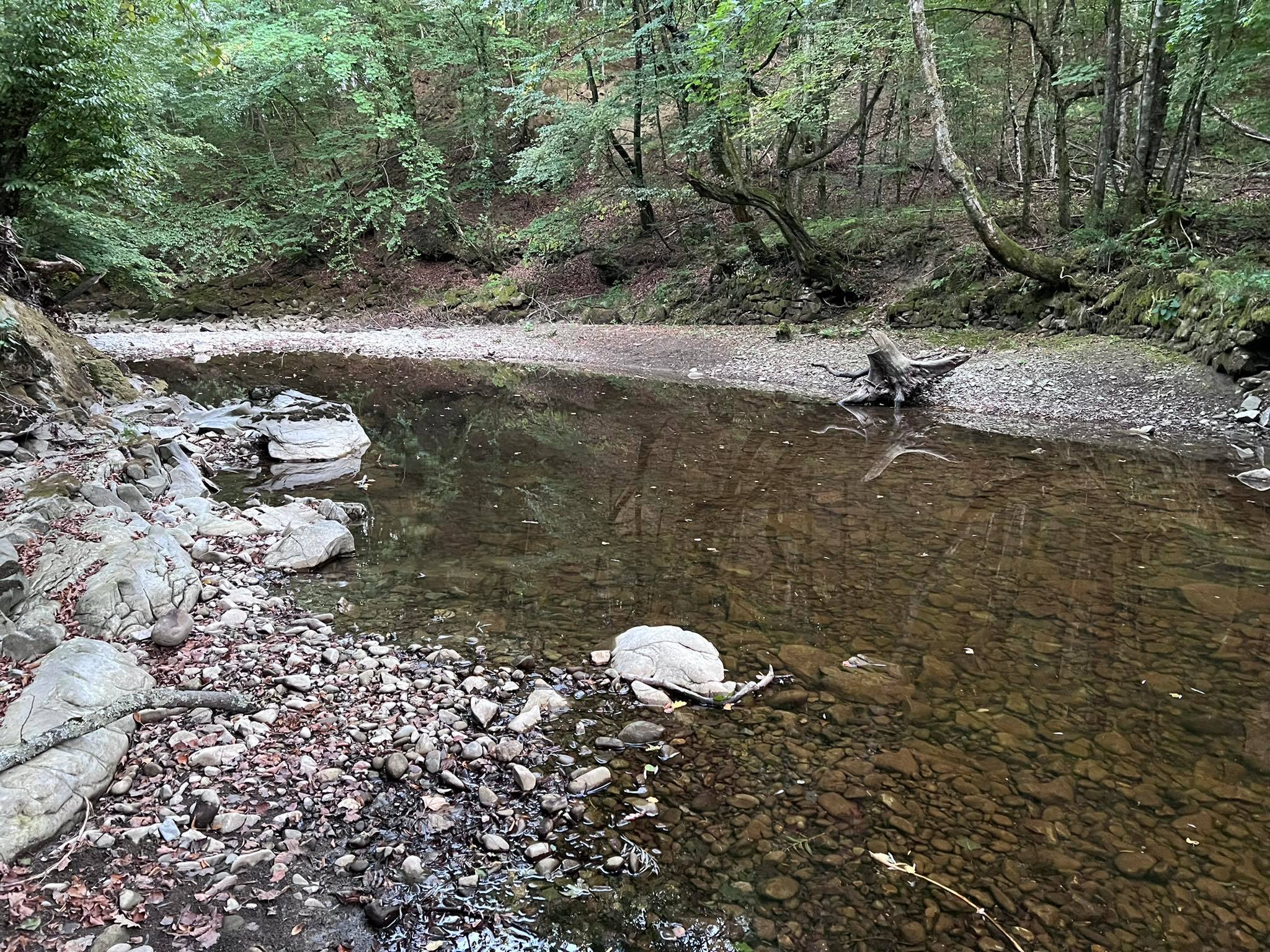 Rječina bez vode 060922 15 Rječina bez vode 060922 15