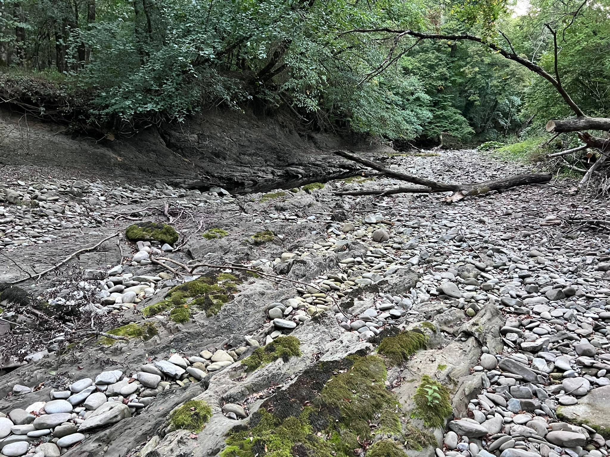 Rječina bez vode 060922 16 Rječina bez vode 060922 16