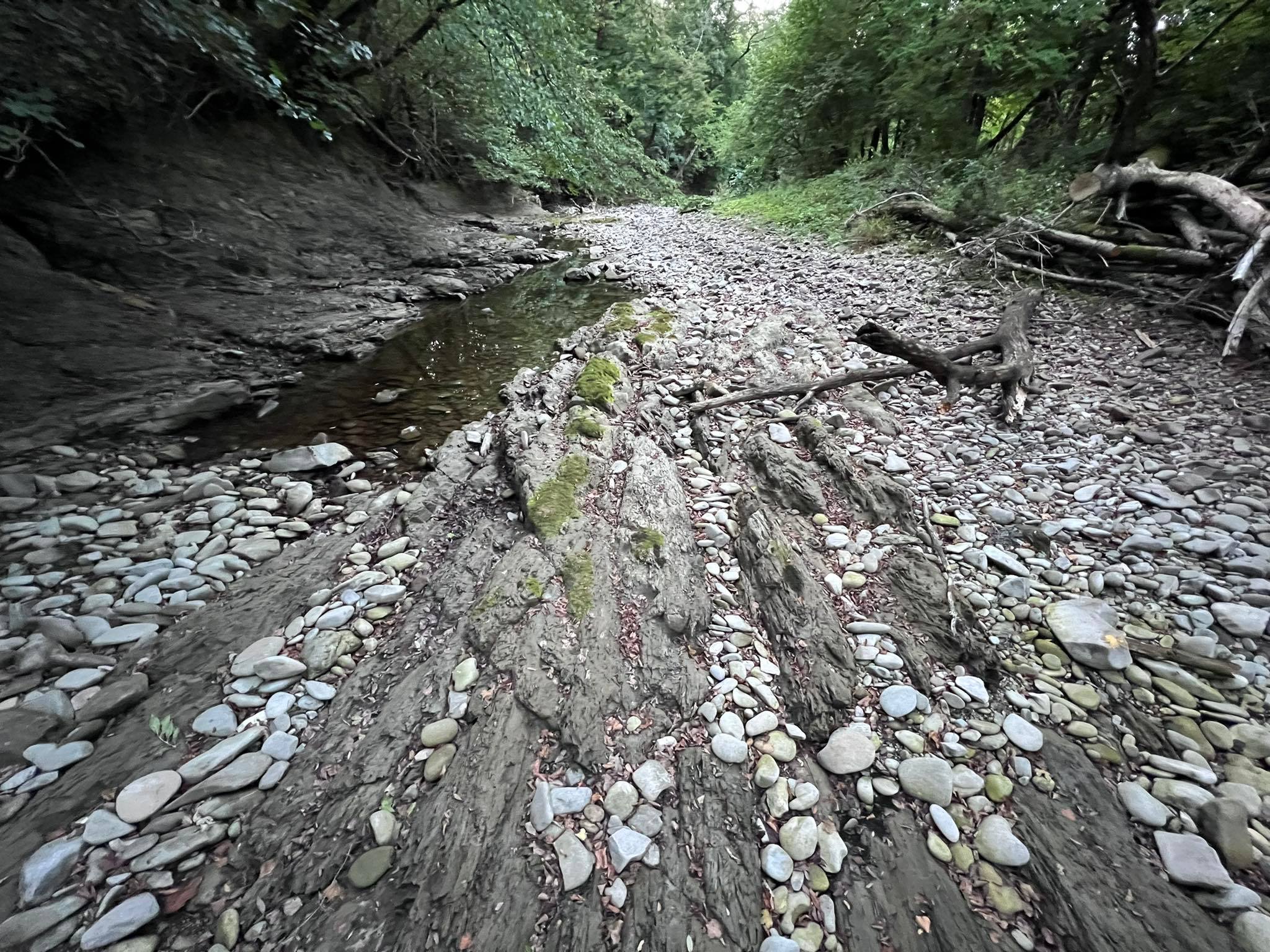 Rječina bez vode 060922 18 Rječina bez vode 060922 18