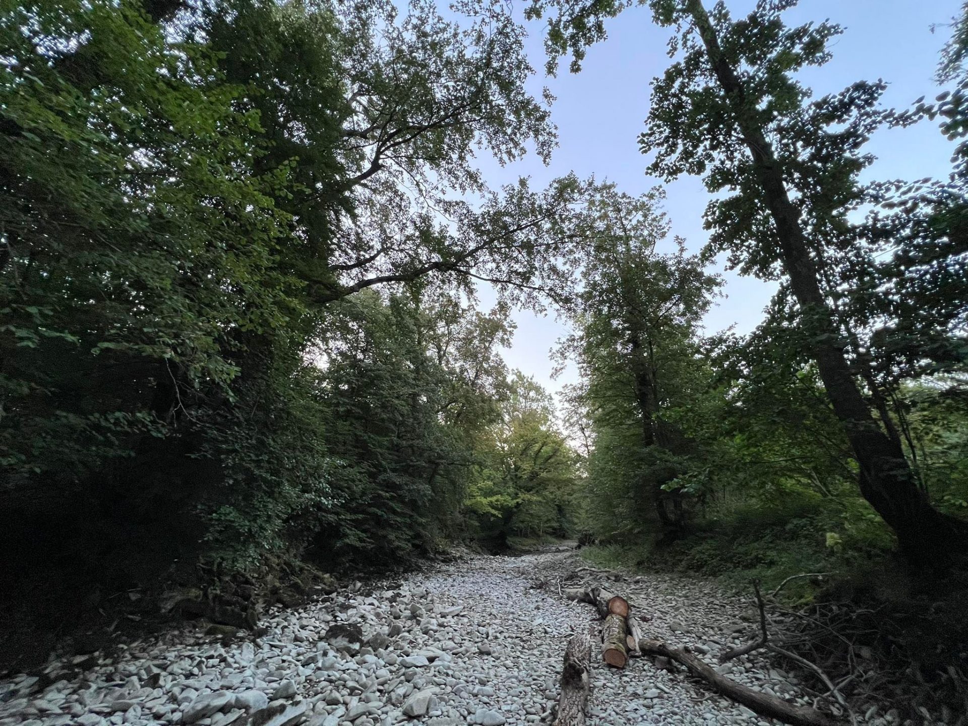 Rječina bez vode 060922 19 Rječina bez vode 060922 19