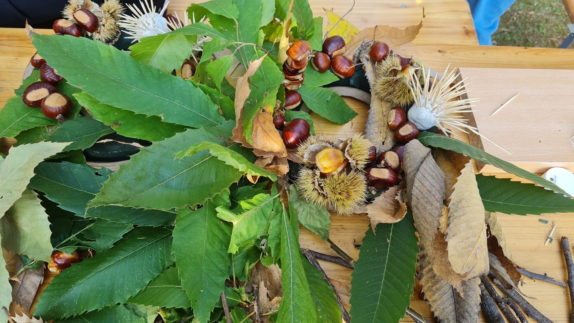 MARUNADA DOBREĆ 2022 GRAD OPATIJA FEJS44