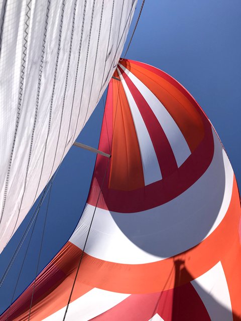 Pohvala – Tatjana Travica, Niz vjetar Pohvala – Tatjana Travica, Niz vjetar