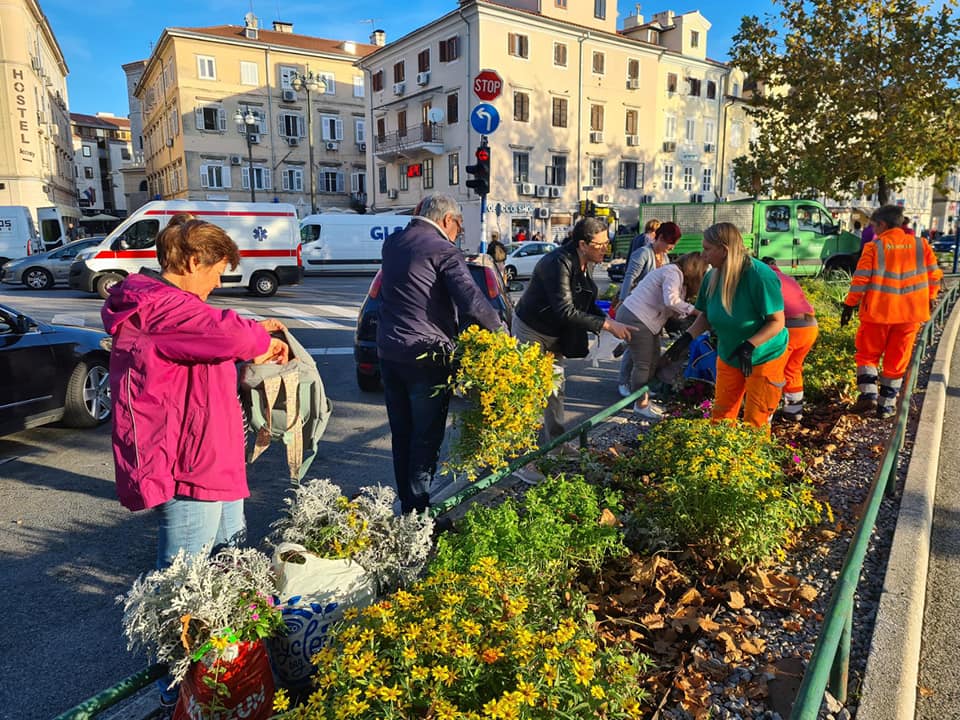 sadnice gredice 051022 1