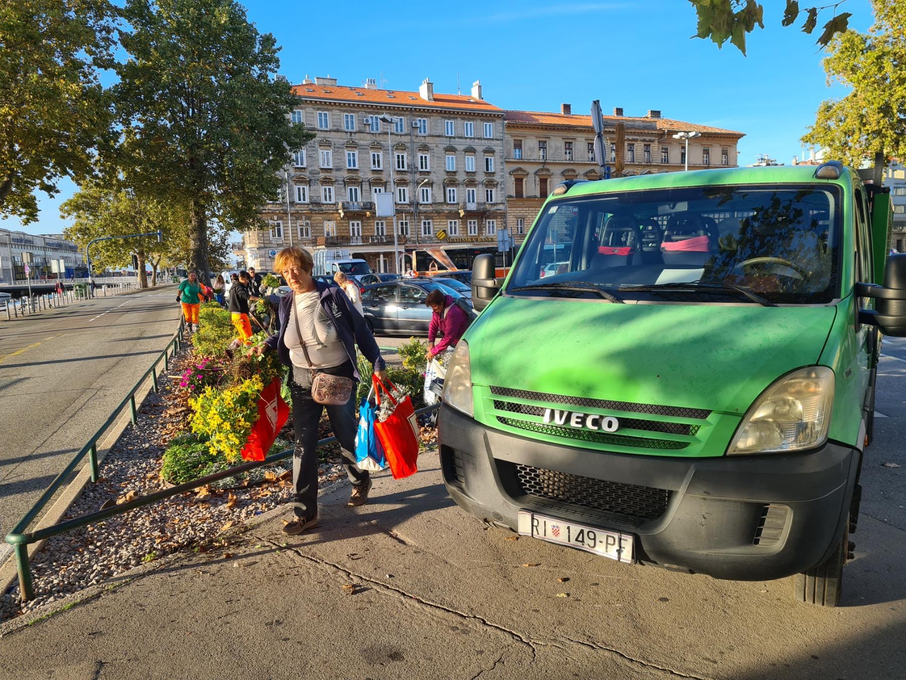 sadnice gredice 051022 13