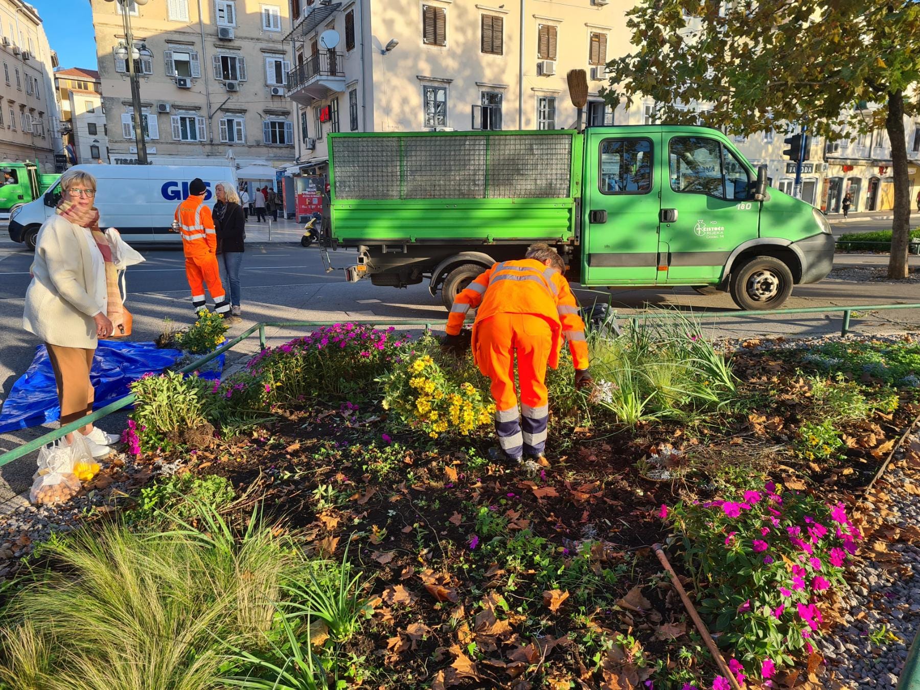 sadnice gredice 051022 14