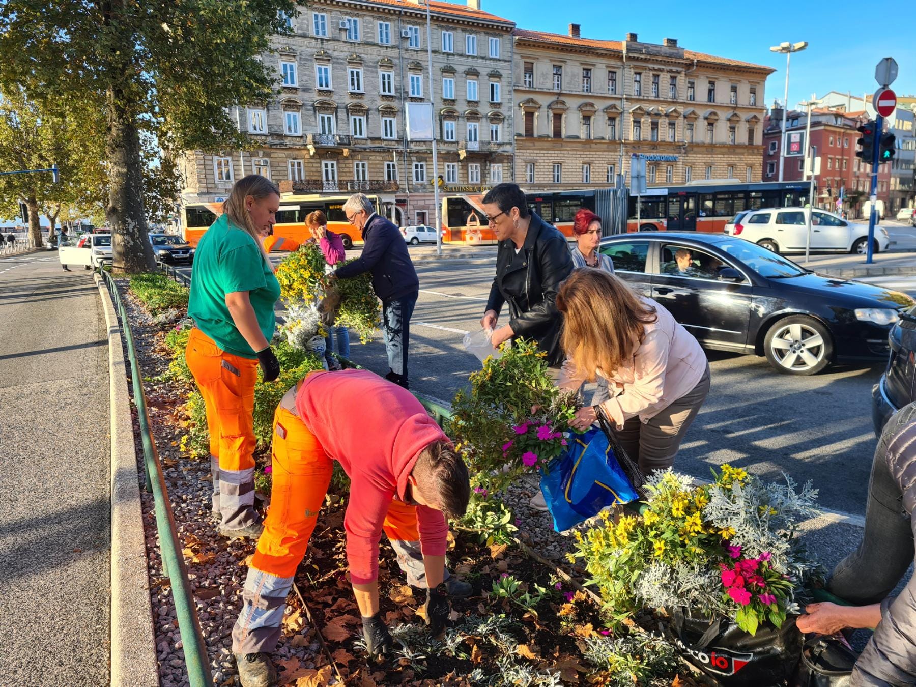 sadnice gredice 051022 15