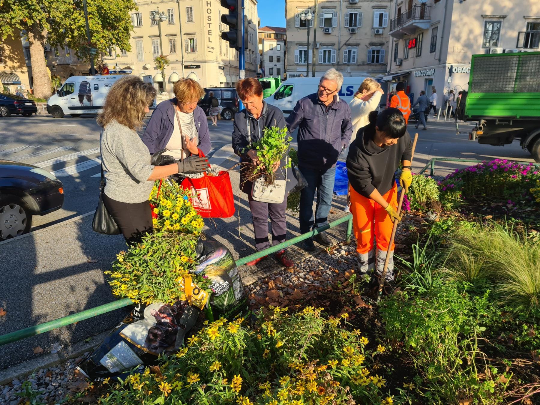 sadnice gredice 051022 16