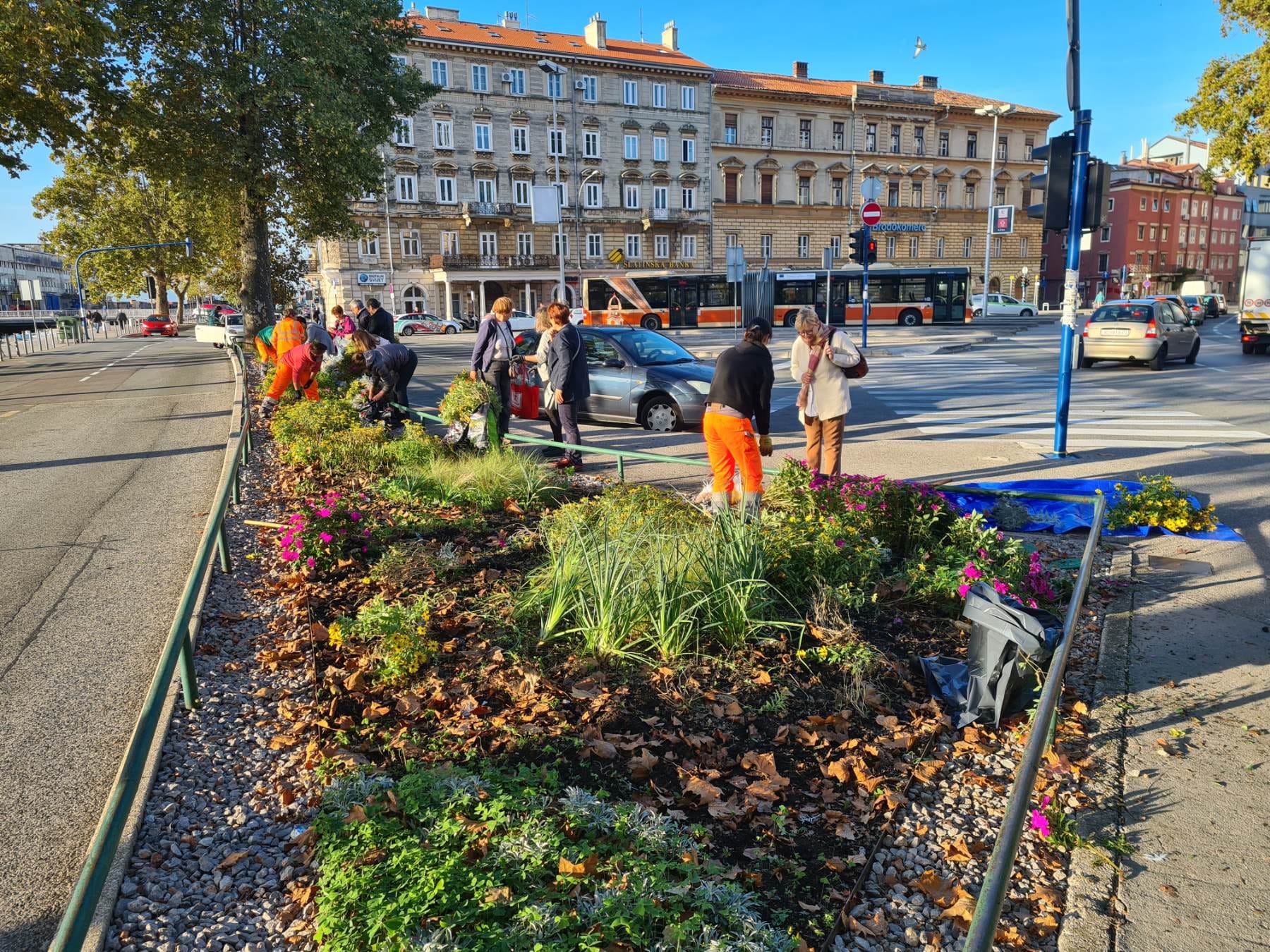 sadnice gredice 051022 17