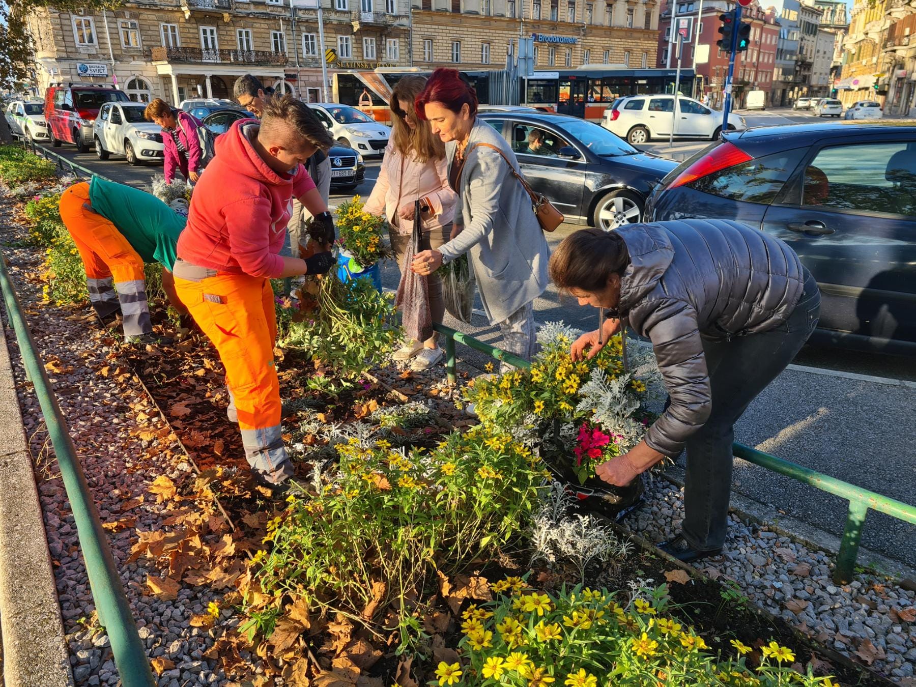 sadnice gredice 051022 18