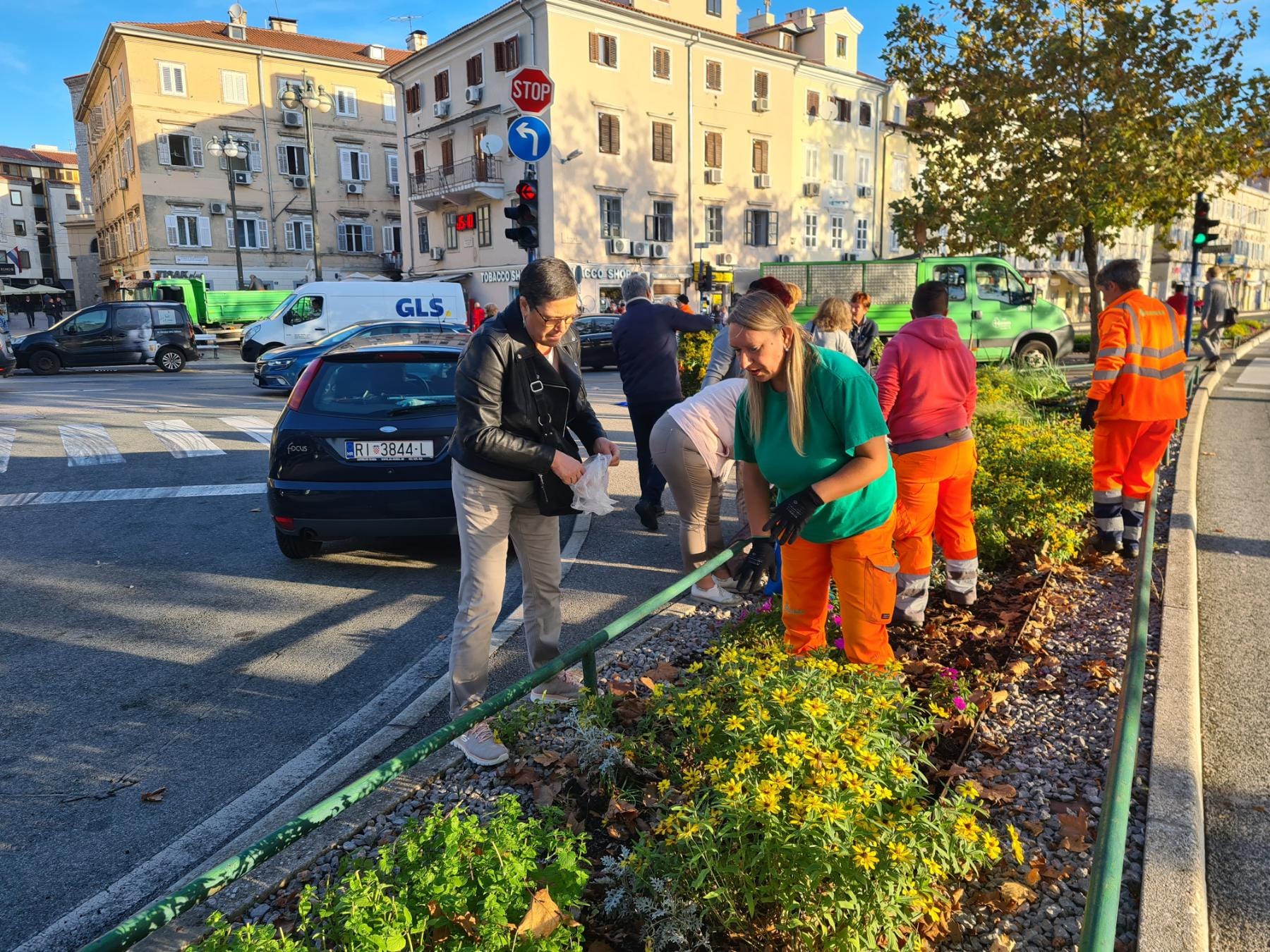 sadnice gredice 051022 19