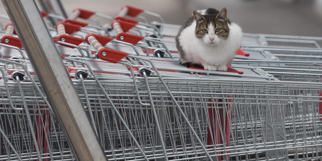 Odlukom Stožera, koja je izazvala dosta prijepora, nedjelja je neradni dan za sve trgovine