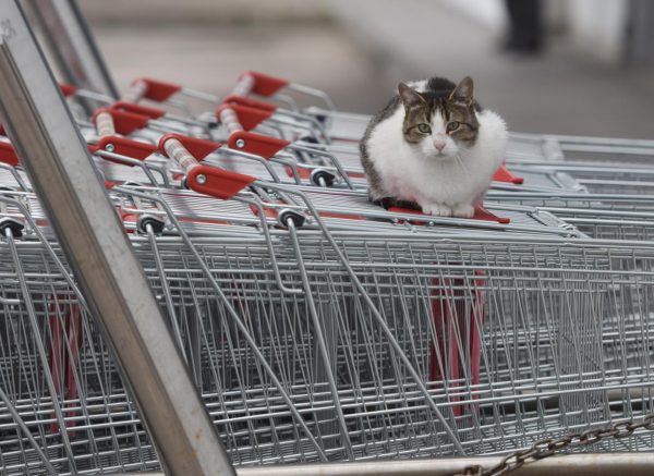 Odlukom Stožera, koja je izazvala dosta prijepora, nedjelja je neradni dan za sve trgovine