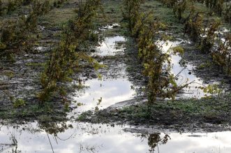 Novi Vinodolski: Uklanjanje posljedica poplave izazvane nevremenom