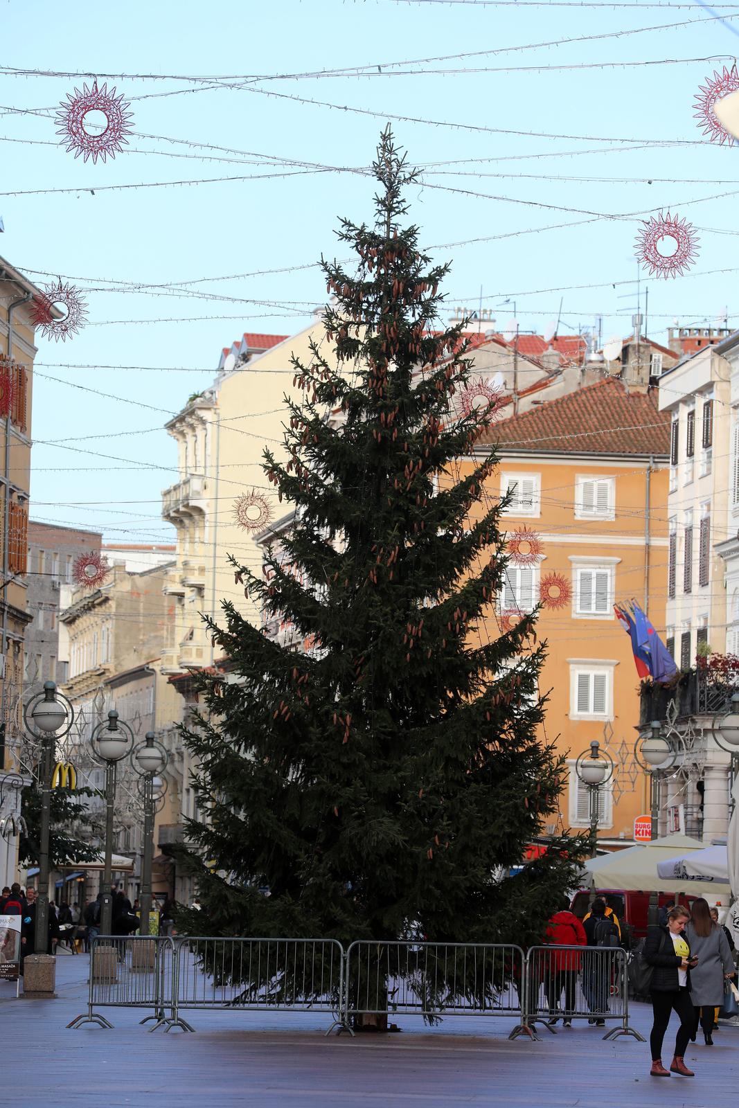 U Rijeci postavljene jelke uoči Božića U Rijeci postavljene jelke uoči Božića