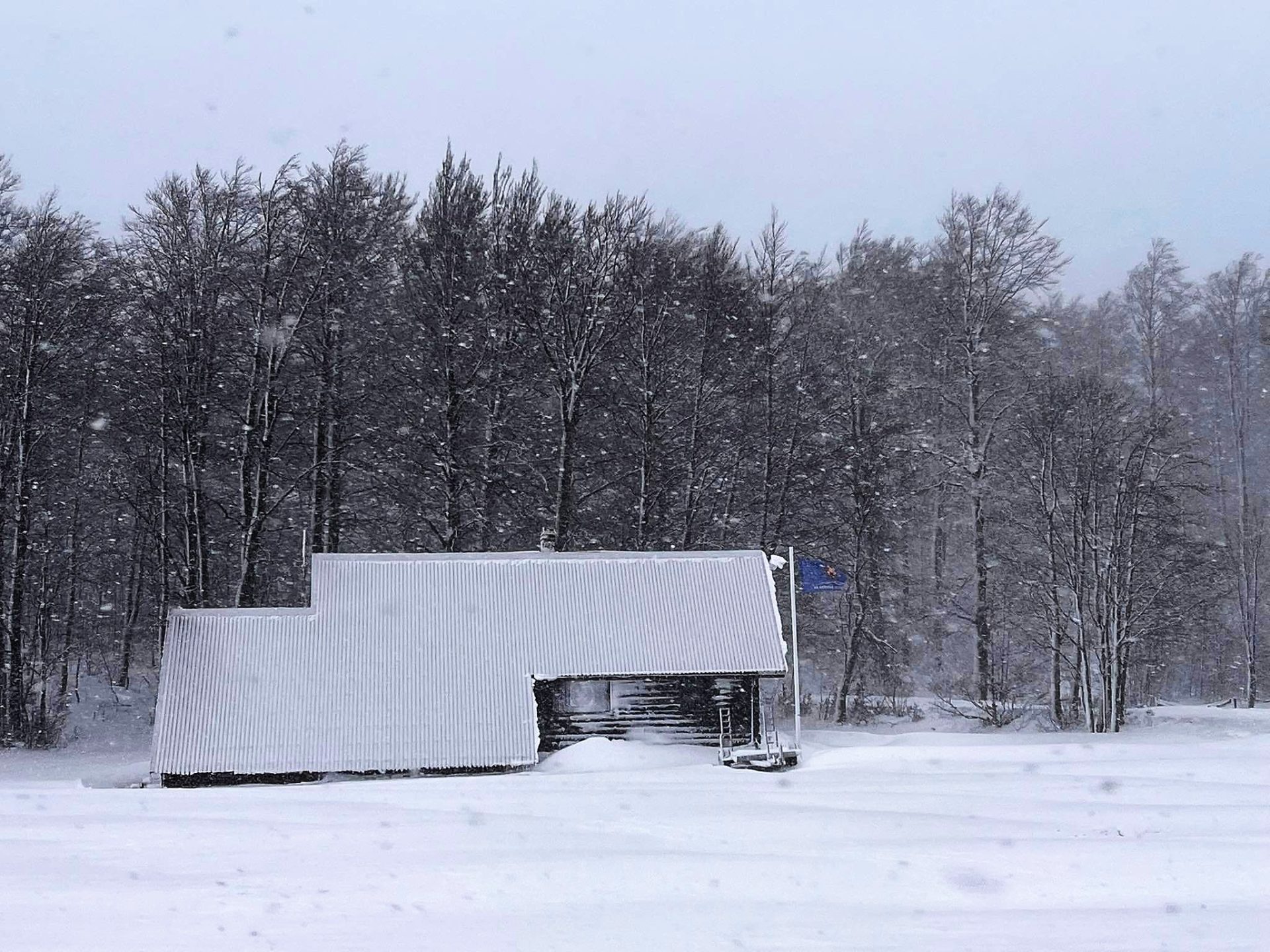 Platak snijeg 201122 14 Platak snijeg 201122 14