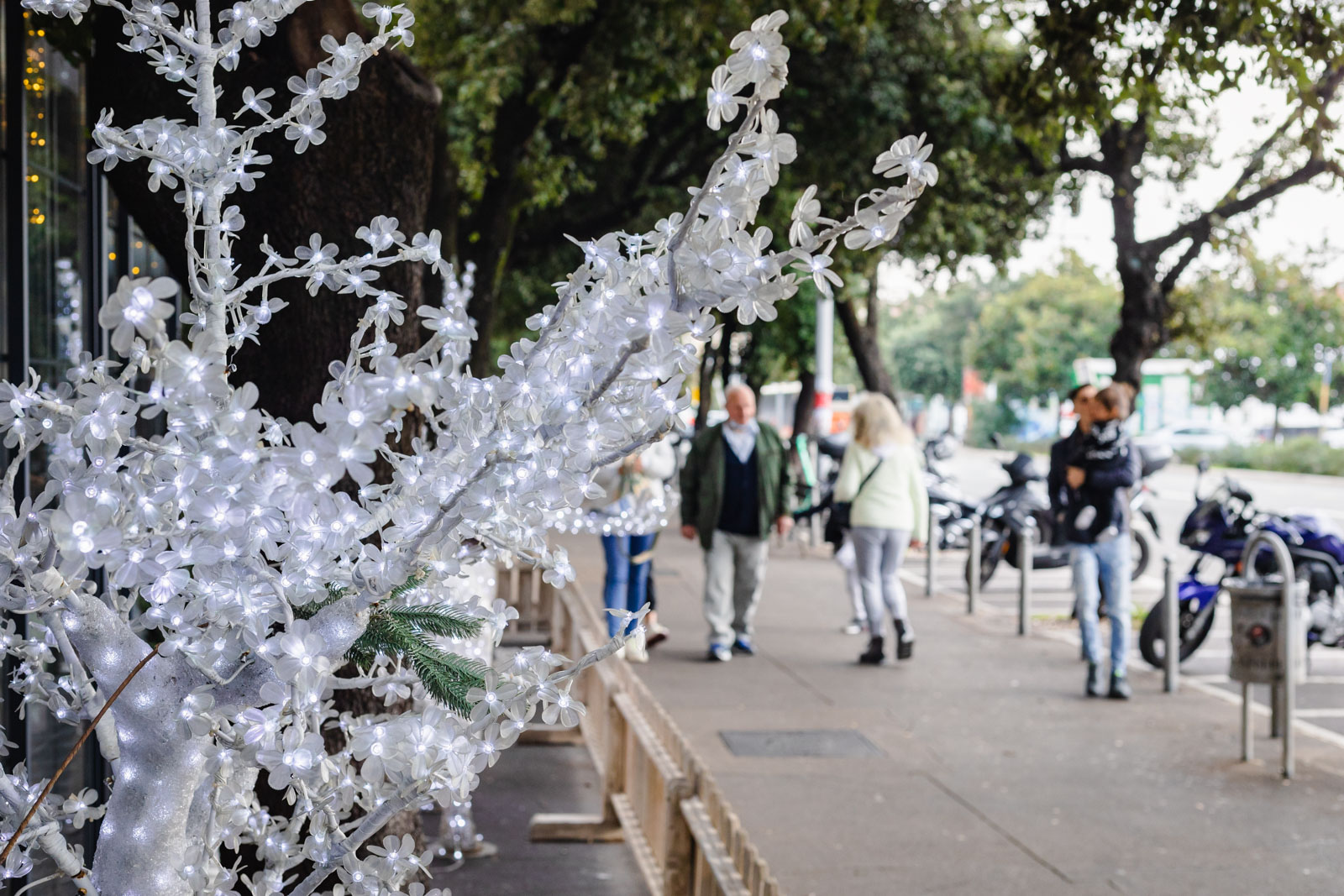 advent Rijeka 2022-25 advent Rijeka 2022-25