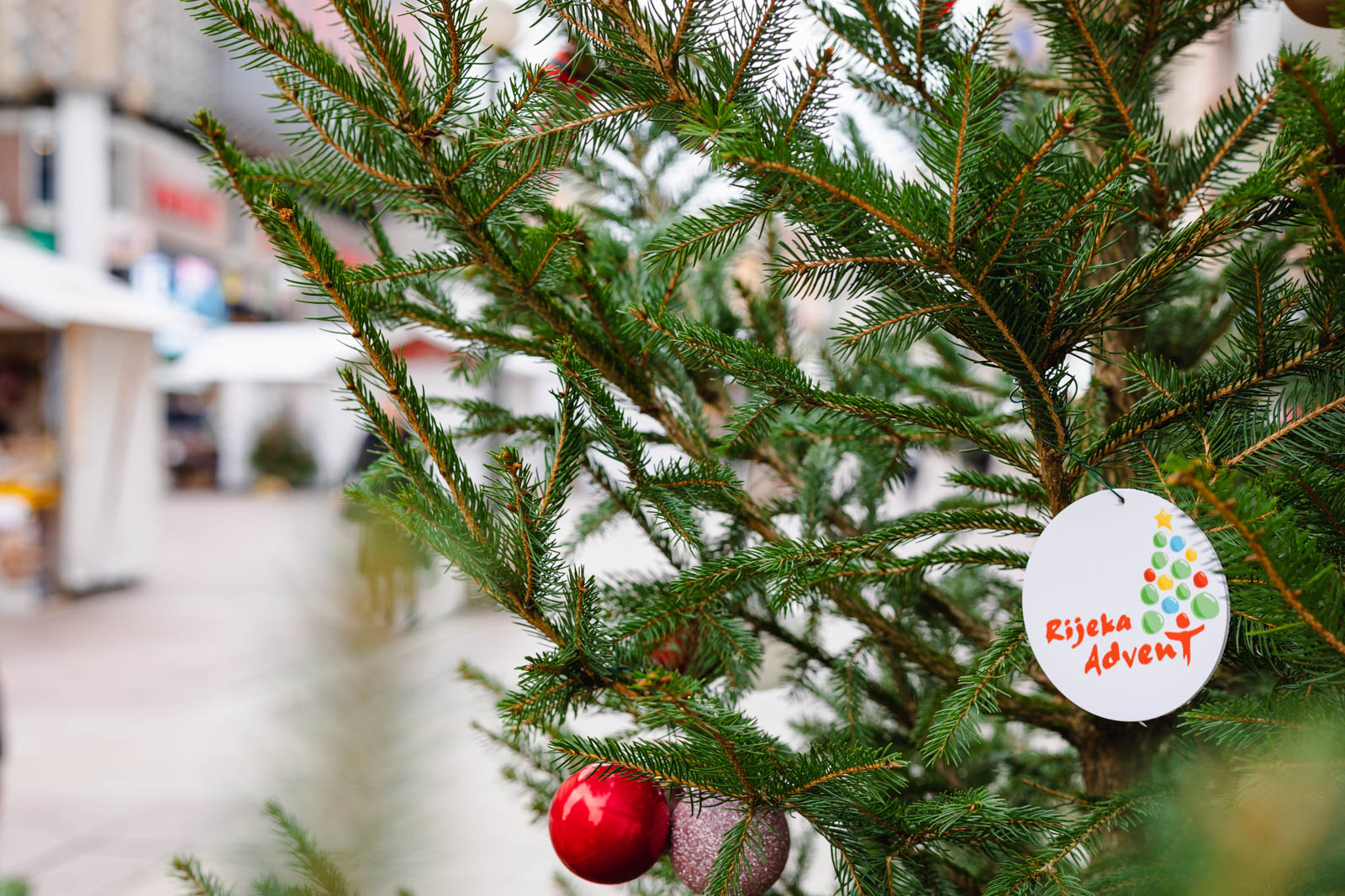 advent Rijeka 2022-8 advent Rijeka 2022-8