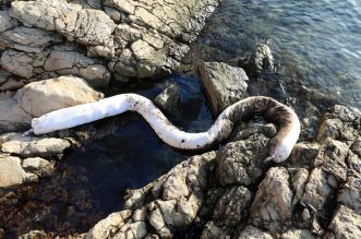 Uklanja se površinsko onečišćenje mora kod Urinja