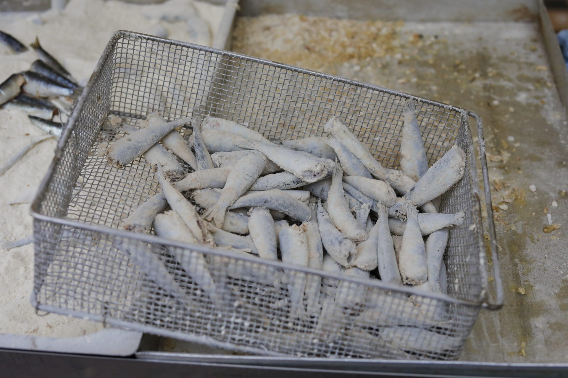 gastrofešta srdelice gastrofešta srdelice