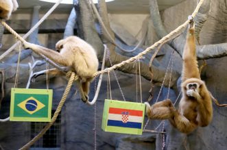 Zagreb: Gibon Kent odabrao Hrvatsku kao pobjednika u utakmici s Brazilom