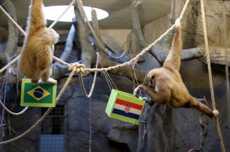 Zagreb: Gibon Kent odabrao Hrvatsku kao pobjednika u utakmici s Brazilom