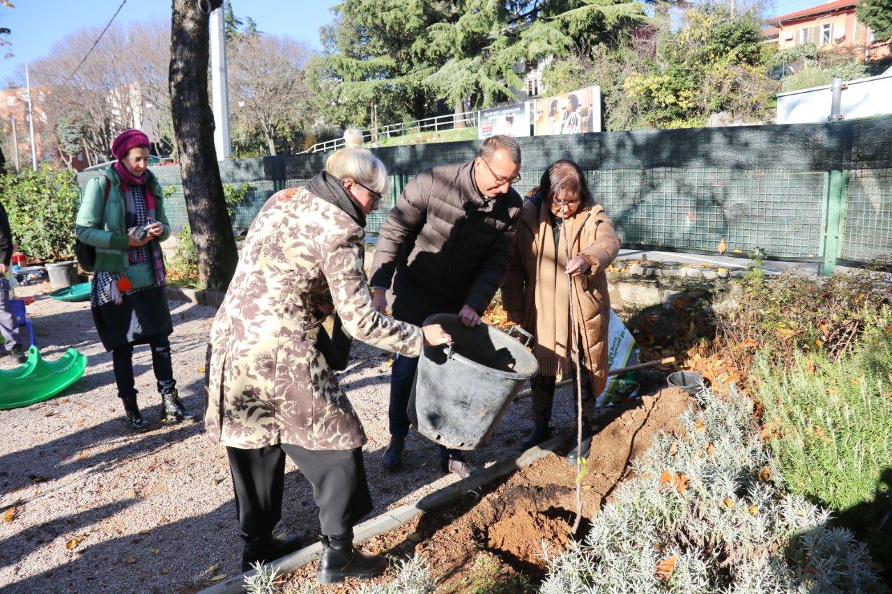 Zasadi-drvo-ne-budi-panj_sadnja-stabala-u-DV-Baredice-8