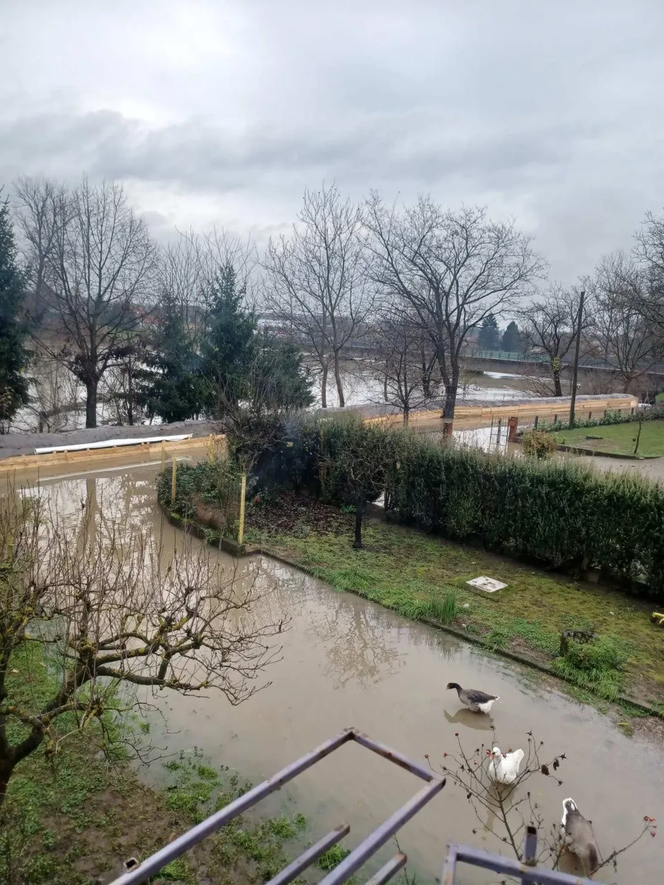 poplava (7) poplava (7)