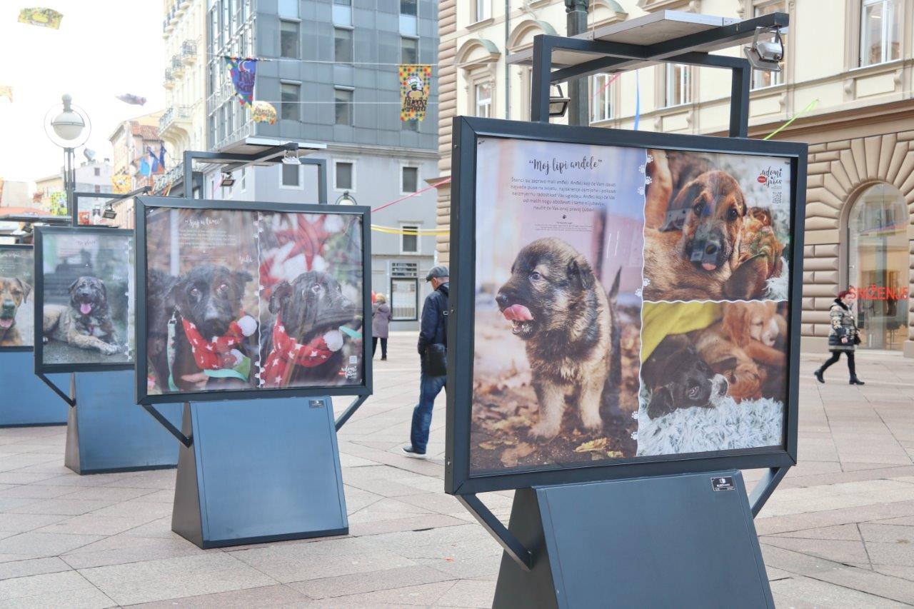 Izložba-Udomi-pravu-ljubav-2 Izložba-Udomi-pravu-ljubav-2