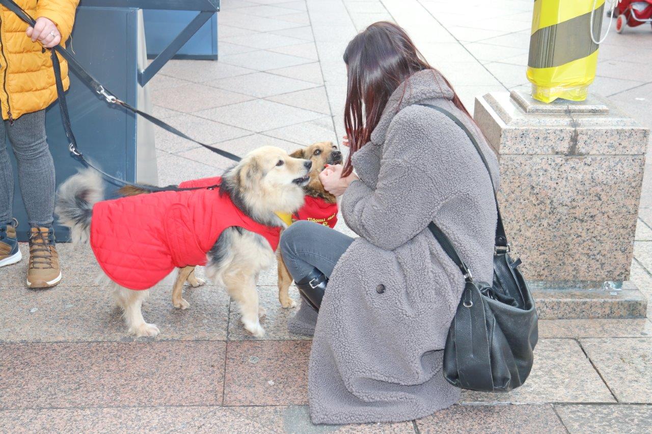Izložba-Udomi-pravu-ljubav-7 Izložba-Udomi-pravu-ljubav-7