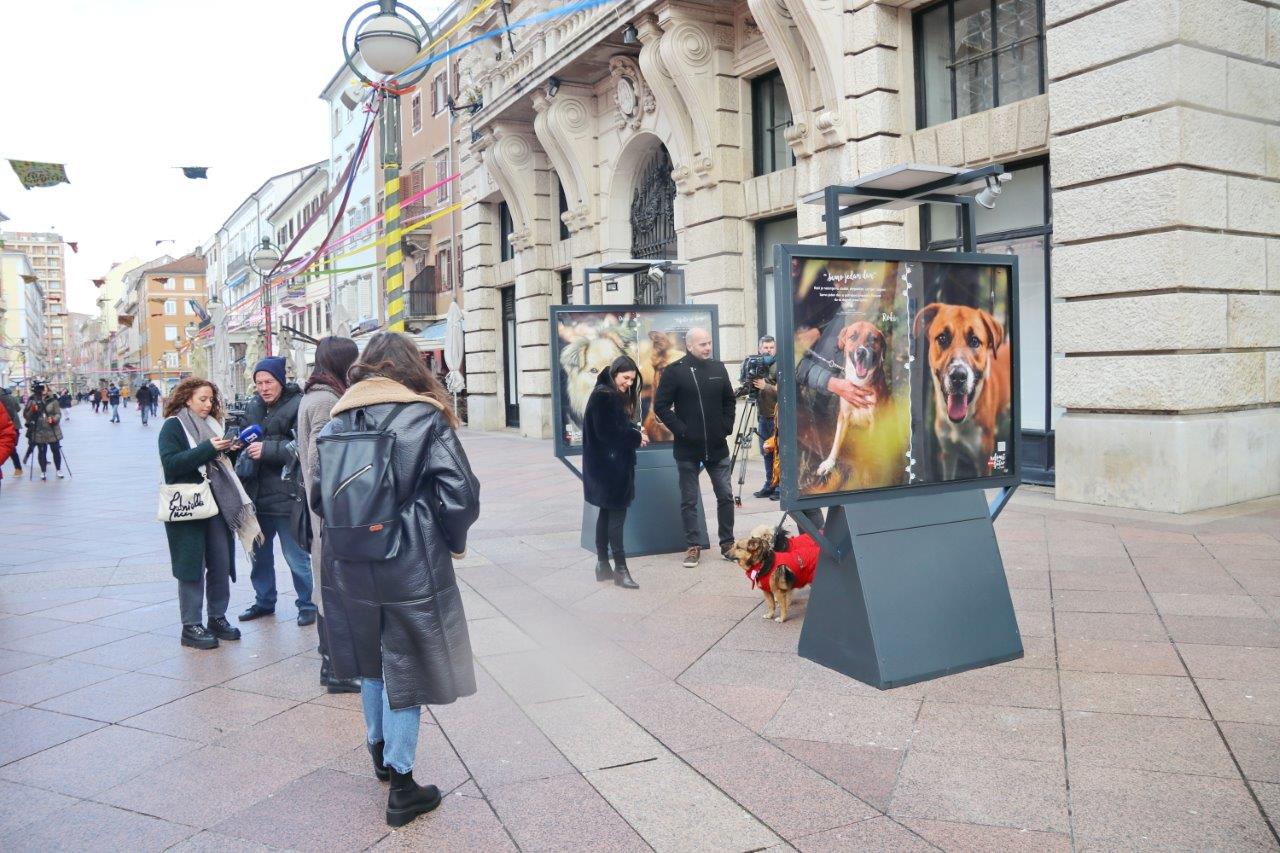 Izložba-Udomi-pravu-ljubav-9 Izložba-Udomi-pravu-ljubav-9