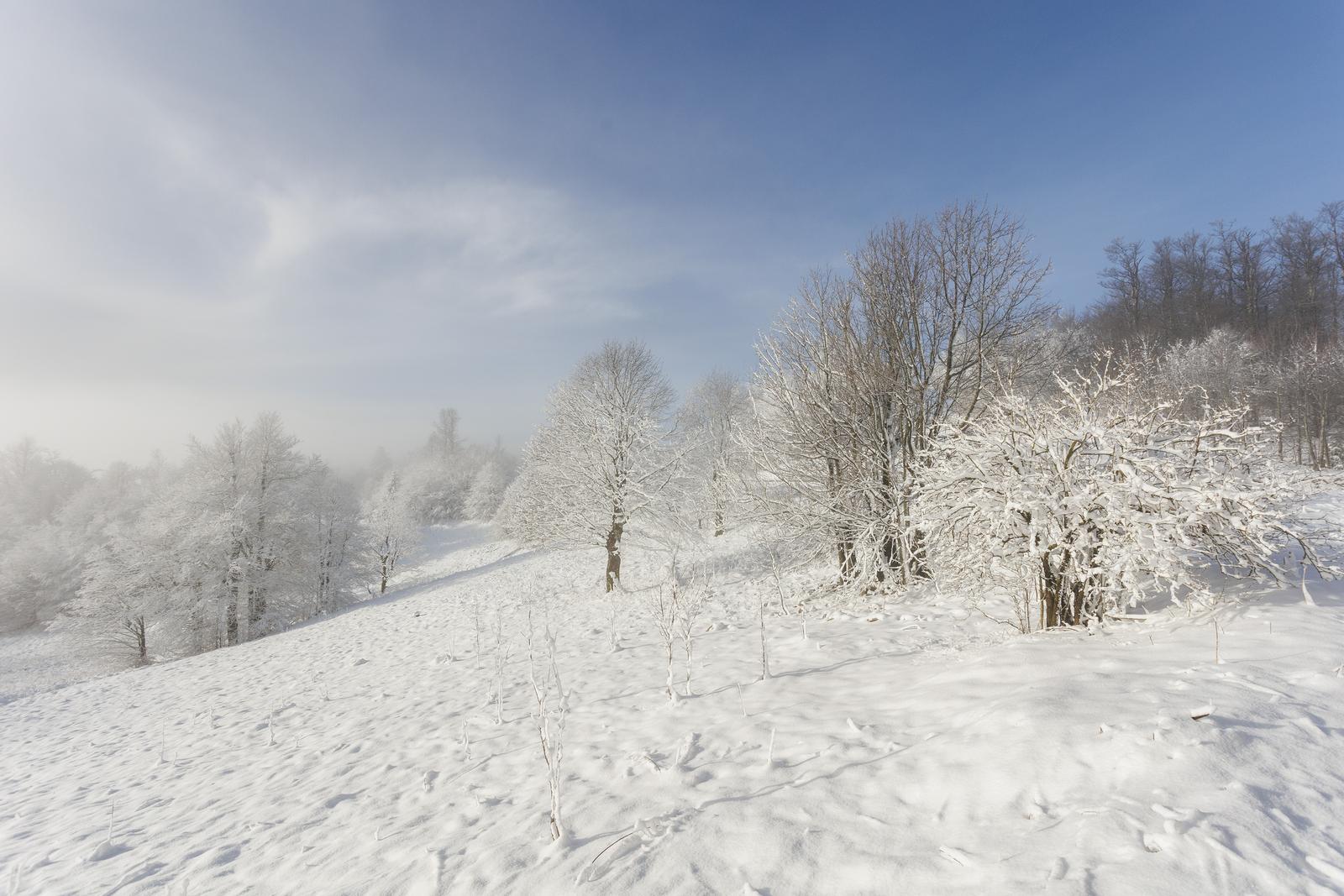 Snijeg zabijelio Gorski Kotar Snijeg zabijelio Gorski Kotar