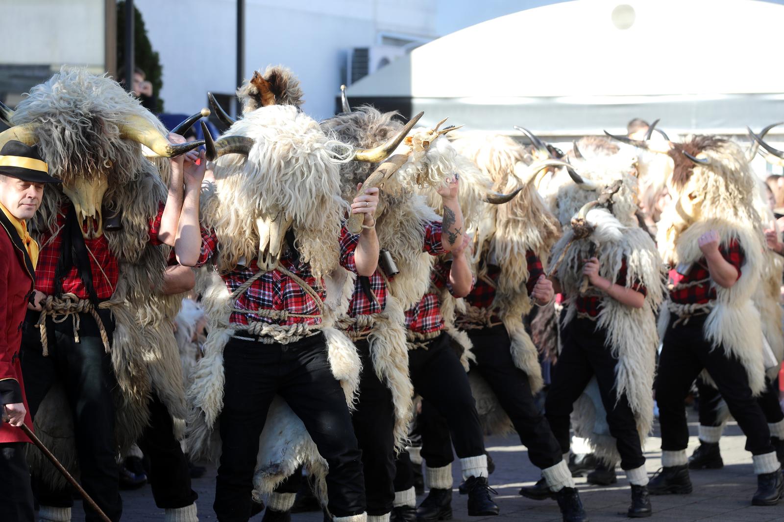 Grobnički dondolaši u svom pohodu stigli u centar Dražica Grobnički dondolaši u svom pohodu stigli u centar Dražica