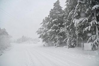 Kolaps zbog snijega i leda kod Brela