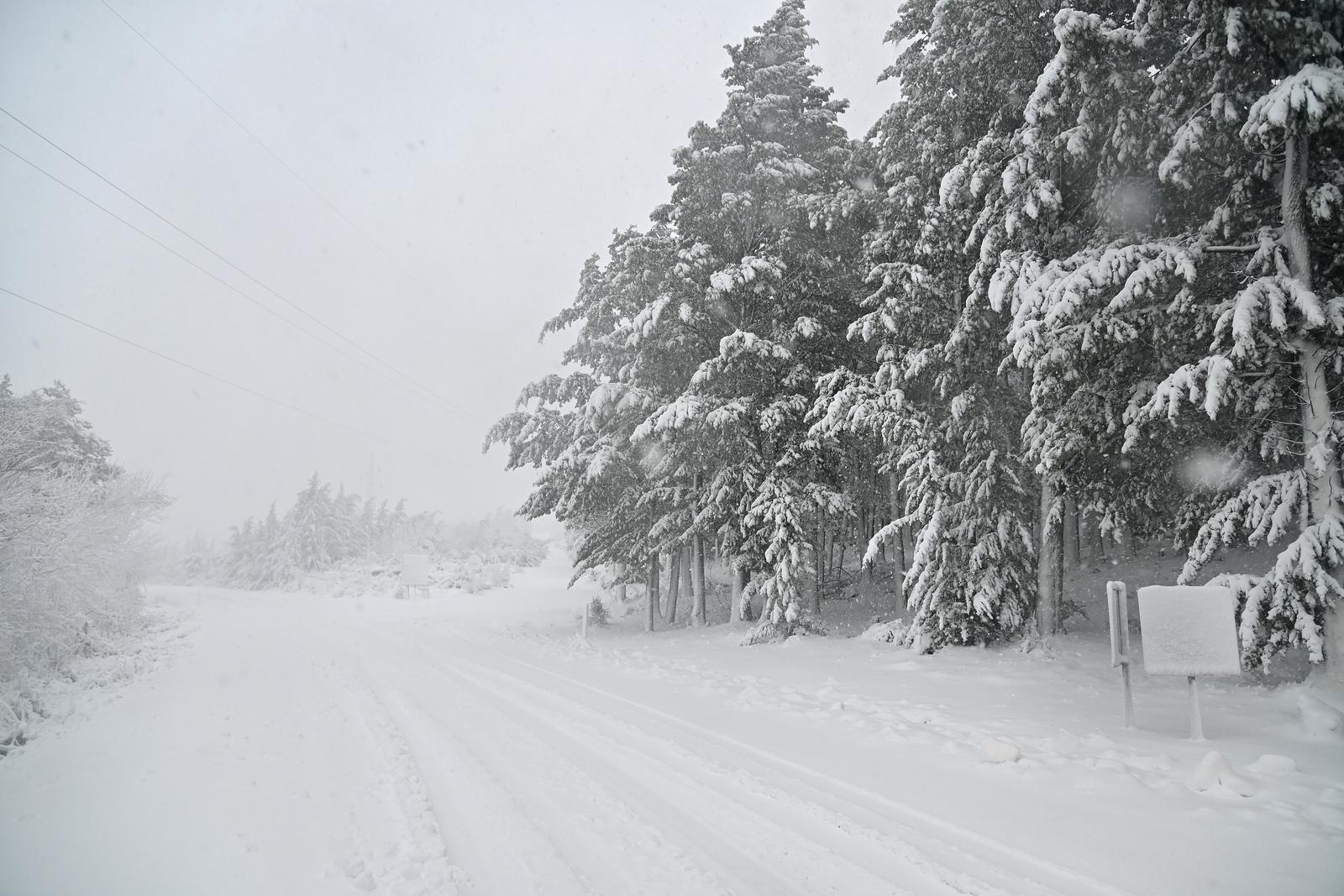 Kolaps zbog snijega i leda kod Brela Kolaps zbog snijega i leda kod Brela