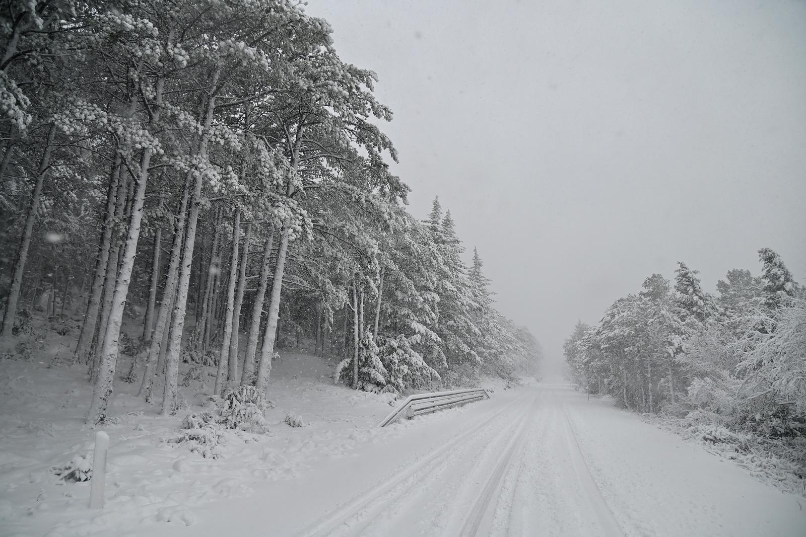 Kolaps zbog snijega i leda kod Brela Kolaps zbog snijega i leda kod Brela