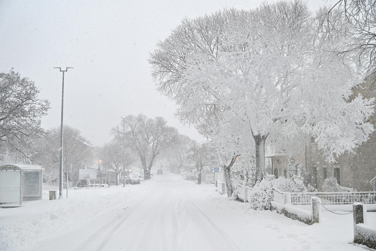 Snijeg u Zadvarju Snijeg u Zadvarju