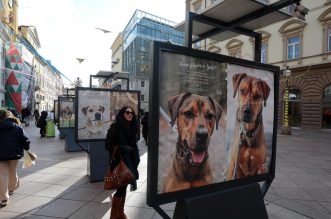 Rijeka: Volonteri riječkog azila na Korzu predstavili pse spremne za udomljavanje