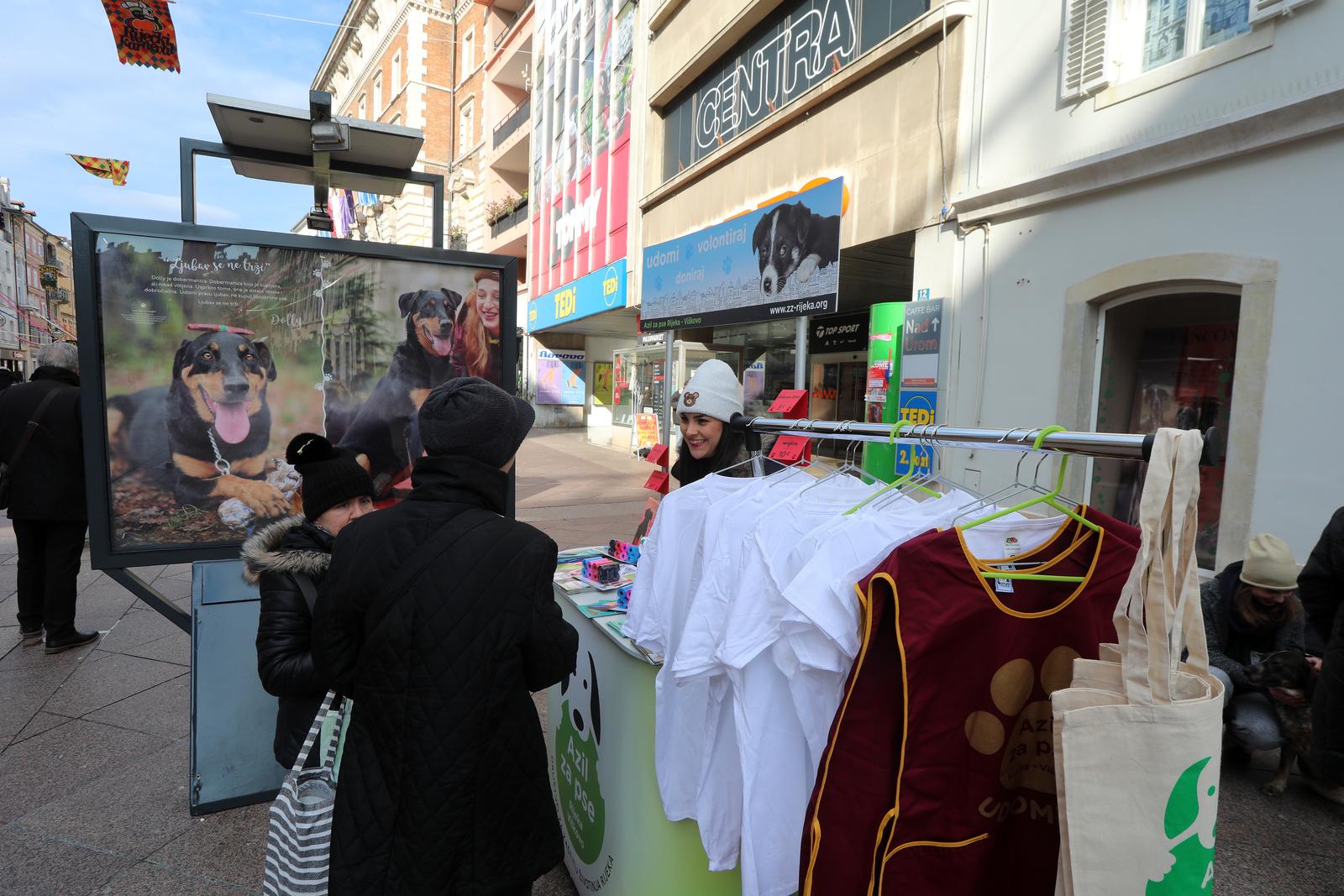 Rijeka: Volonteri riječkog azila na Korzu predstavili pse spremne za udomljavanje Rijeka: Volonteri riječkog azila na Korzu predstavili pse spremne za udomljavanje