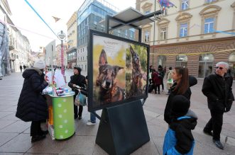 Rijeka: Volonteri riječkog azila na Korzu predstavili pse spremne za udomljavanje