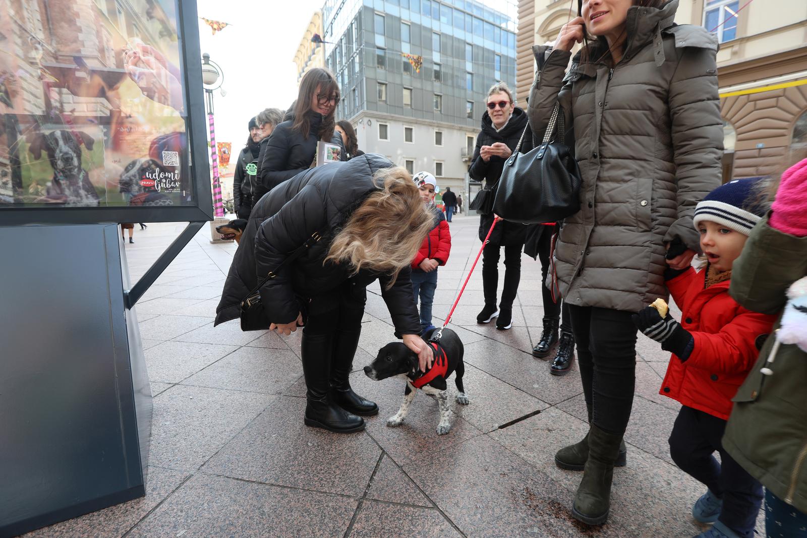 Rijeka: Volonteri riječkog azila na Korzu predstavili pse spremne za udomljavanje Rijeka: Volonteri riječkog azila na Korzu predstavili pse spremne za udomljavanje