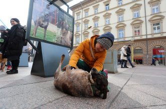 Rijeka: Volonteri riječkog azila na Korzu predstavili pse spremne za udomljavanje