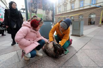 Rijeka: Volonteri riječkog azila na Korzu predstavili pse spremne za udomljavanje