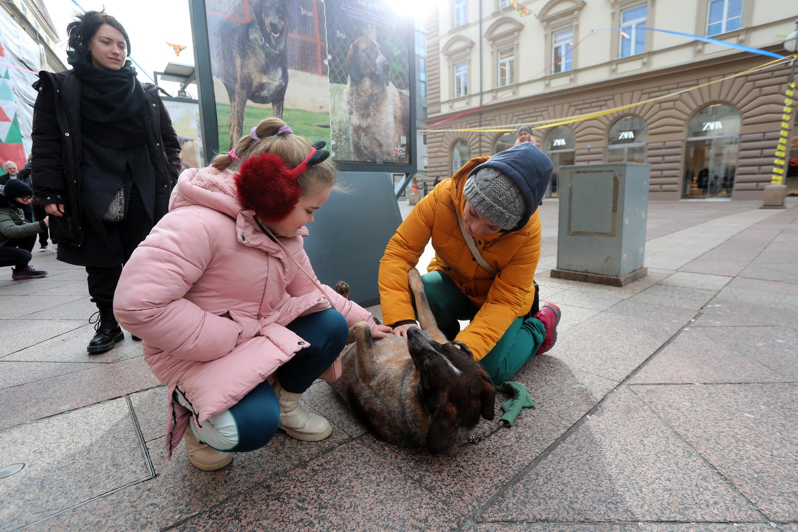Rijeka: Volonteri riječkog azila na Korzu predstavili pse spremne za udomljavanje Rijeka: Volonteri riječkog azila na Korzu predstavili pse spremne za udomljavanje