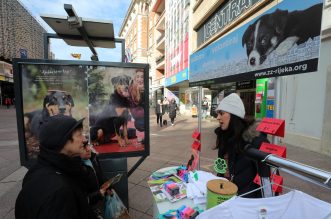 Rijeka: Volonteri riječkog azila na Korzu predstavili pse spremne za udomljavanje