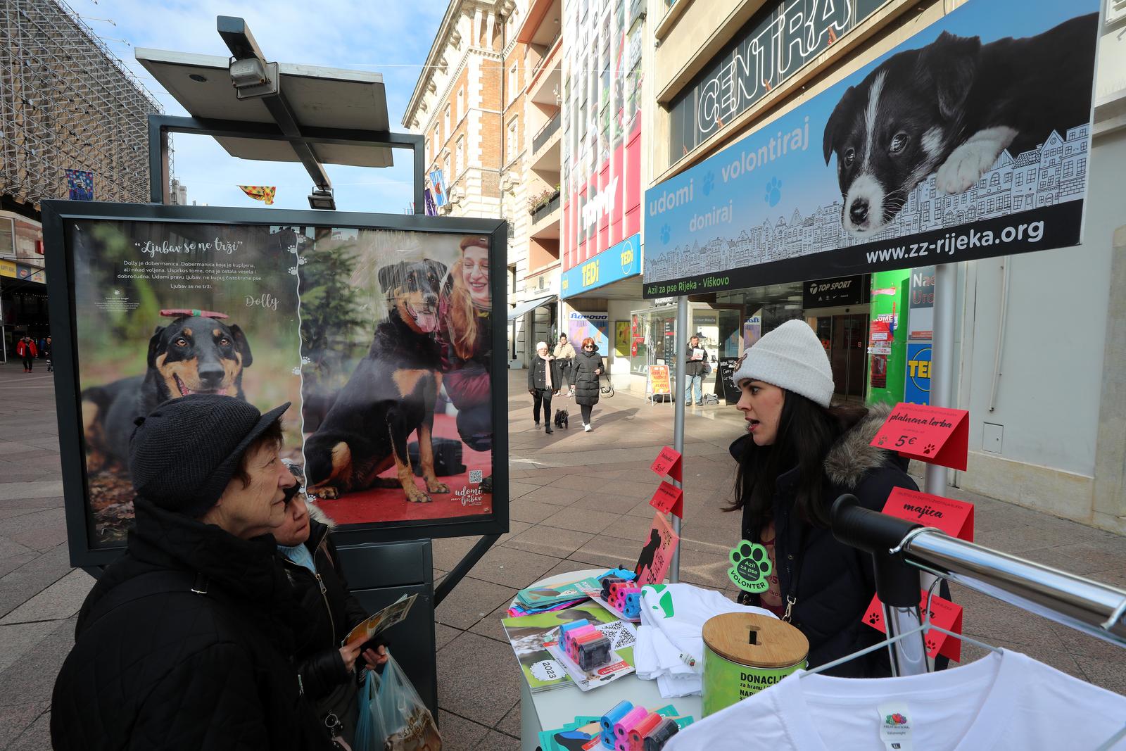 Rijeka: Volonteri riječkog azila na Korzu predstavili pse spremne za udomljavanje Rijeka: Volonteri riječkog azila na Korzu predstavili pse spremne za udomljavanje