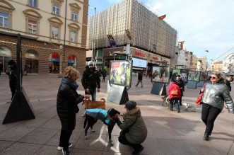 Rijeka: Volonteri riječkog azila na Korzu predstavili pse spremne za udomljavanje