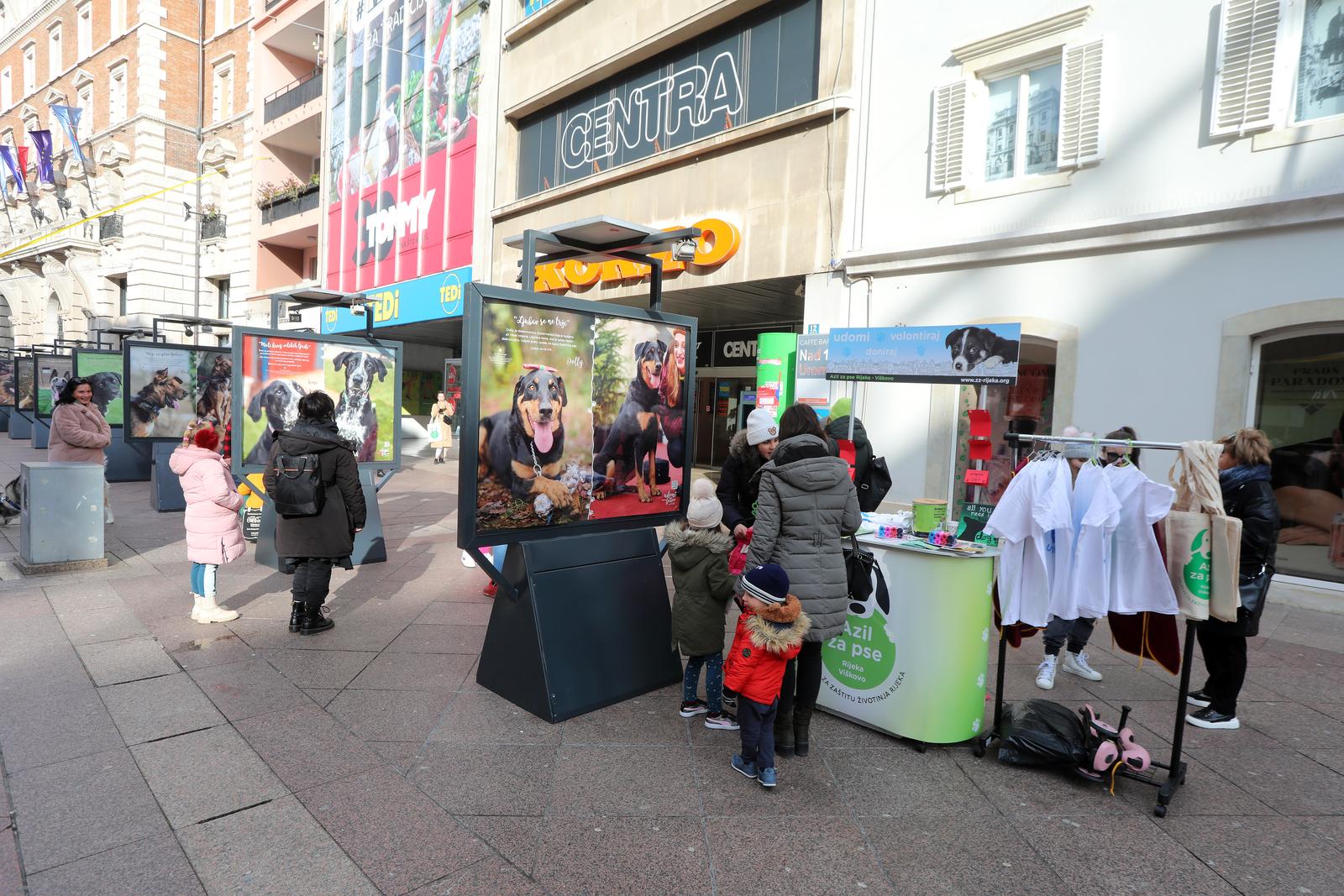 Rijeka: Volonteri riječkog azila na Korzu predstavili pse spremne za udomljavanje Rijeka: Volonteri riječkog azila na Korzu predstavili pse spremne za udomljavanje