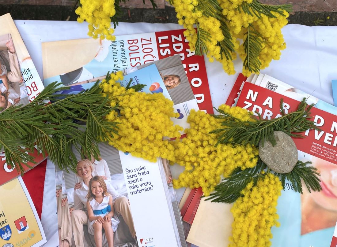 opatija dan mimoza (2) opatija dan mimoza (2)